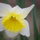 Image for article titled Shooting Challenge: Spring Gallery 2